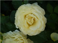 ca947b75-Picture 3173.jpg